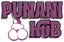 PUNANI HUB Logo